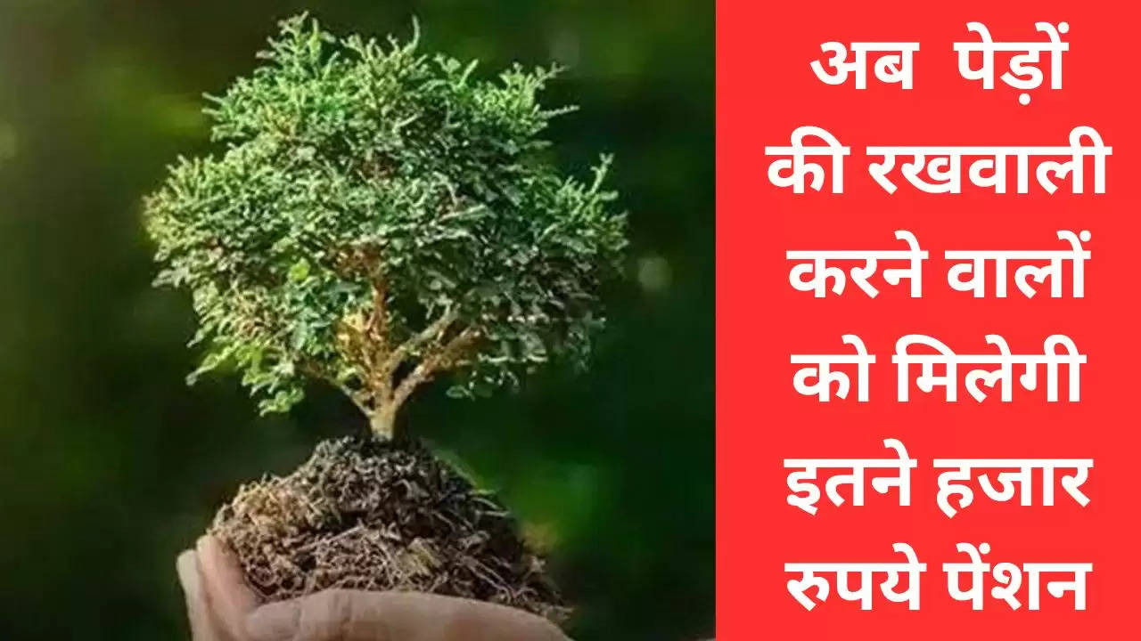 हरियाणा सरकार का उपहार, अब  पेड़ों की रखवाली करने वालों को मिलेगी इतने हजार रुपये पेंशन