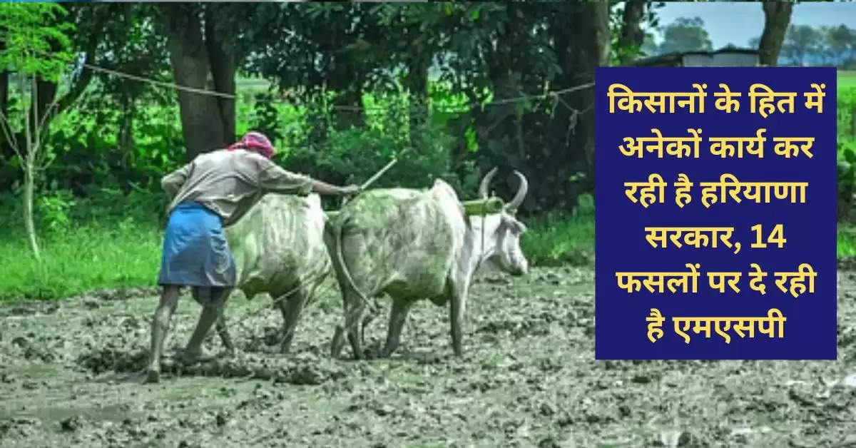  Agriculture education in Haryana