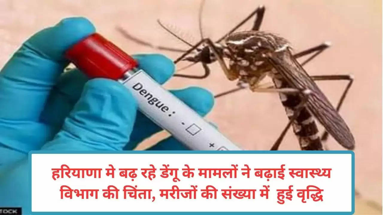 हरियाणा मे बढ़ रहे डेंगू के मामलों ने बढ़ाई स्वास्थ्य विभाग की चिंता, मरीजों की संख्या में  हुई वृद्धि