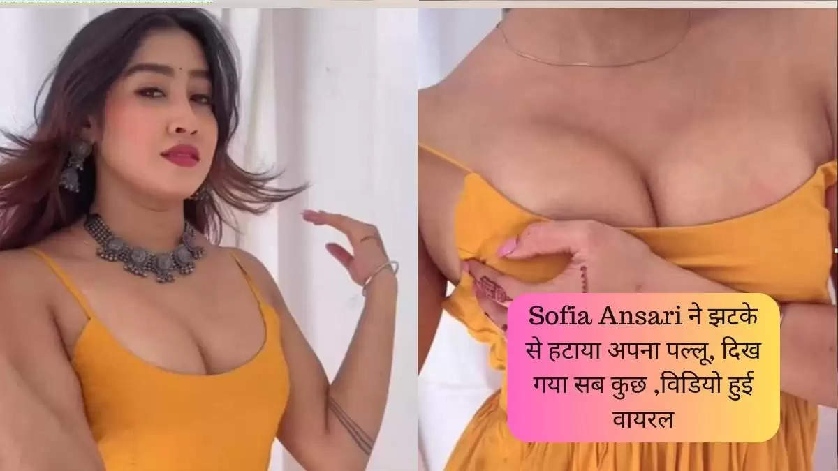 Sofia Ansari ने झटके से हटाया अपना पल्लू, दिख गया सब कुछ ,विडियो हुई वायरल