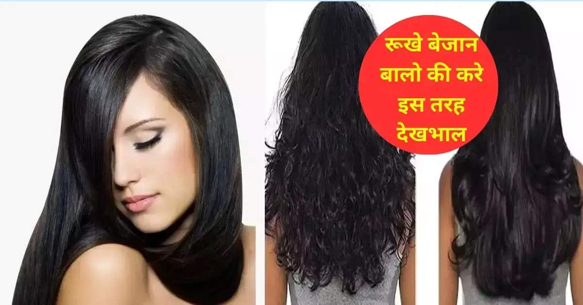 Vastu Tips : अपने रूखे बेजान बालो की करे इस तरह देखभाल, लोग पूछेंगे चमकदार बालों का राज