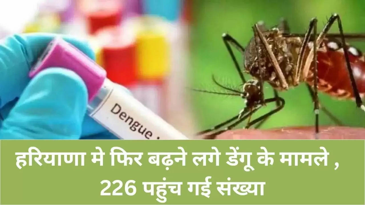 हरियाणा मे फिर बढ़ने लगे डेंगू के मामले ,  226 पहुंच गई संख्या